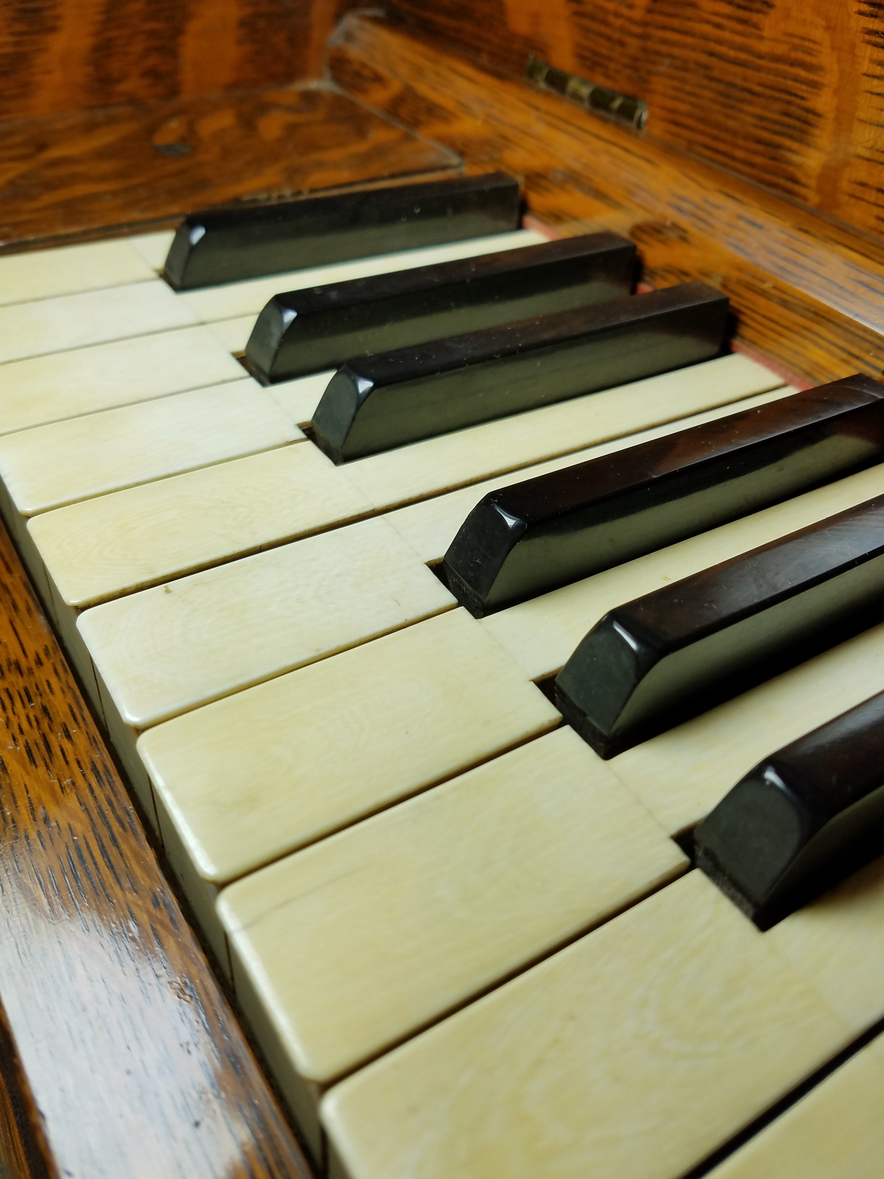 Are Piano Keys Made of Ivory?