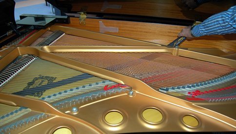 Grand Piano Sweeper Soundboard Cleaner Duster 50" Long - In Tune Piano Supply