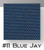 Blue Jay