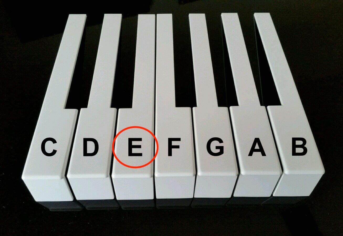 Individual German Piano Keytops with Attached Fronts for Keytop Replacement