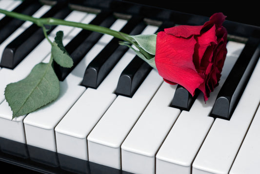 Your Guide to the Dampp-Chaser Piano Life Saver System