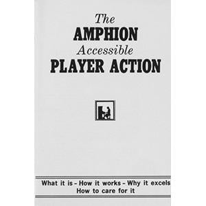 Amphion Accessible Player Action